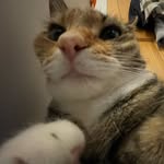 Katie Weir - @katie17036 - Instagram