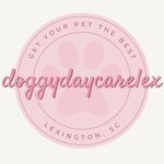 Katie Whetstone - @doggydaycarelex - Instagram
