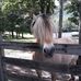 Katie Wick - Facebook