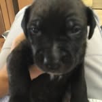 Addy Kate Wilderman - @addykatewilderman - Instagram