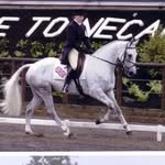 Katie Williams - @katie.williams.eventing.coach - Instagram