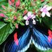 Kathie Wimsatt - Facebook