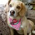 Kathryn Wimsatt - Facebook