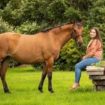 Katie Winfield - @katie.w.equestrian - Instagram