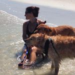 Kathy Wilhelm Witkowski - @joe1kate - Instagram