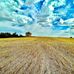 Katie Wittig - Facebook