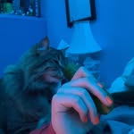 KATIE WITTIG - @katie._.spamszz - Instagram