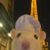 katiexiao0 - @katiexiao0 - TikTok