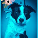 Katie Yoder - @daily_fun_facts25 - Instagram