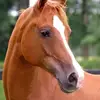 Katie Yoder - @katie.maher2 - TikTok