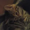 katiyust - @katiyust - TikTok