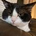 Katina Bryant - Facebook
