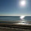 Katina King - @katinaking - TikTok