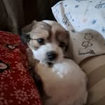 Katina North - @katina.north.3 - Instagram