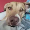 Katina Rodriguezgomez - @katina.rodriguezg1 - TikTok