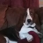 Katina Stephens - @brubrudog2001 - Instagram