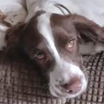 Katina Richardson Wright - @katina269 - Instagram