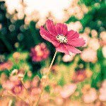 Katja*-* - @katja_block - Instagram
