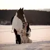 katjakrieger0210 - @katjakrieger0210 - TikTok