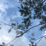Katlin - @katlinkingst0n - Instagram