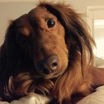 Katlin King - @mrs_king345 - Instagram