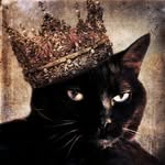 Katlyn Allen - @spoiledcatcrochet - Instagram