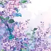 Katlyn Allen - @allenkat1 - TikTok