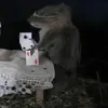katlynblevins - @katlynblevins - TikTok
