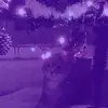 katlynsmith74 - @katlynsmith74 - TikTok