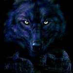 Katelyn Wolf Christina - @katelyn.christina.37 - Instagram