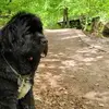 katrinmende123 - @katrinmende123 - TikTok