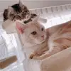 Katrin.Walter-Mende - @vkovaikv68k - TikTok