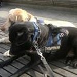 Katrin Werner - @katrin9728 - Instagram
