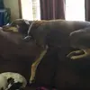 Katrina M. Werner Johnson - @katrina.m..werner - TikTok