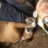 KatrinaAngelazr_v7 - @katrinaangelazr_v7 - TikTok