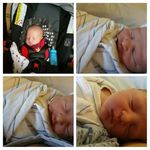 Katrina Arnold - @katrina.arnold.391082 - Instagram