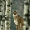 Katrina Gauld - @katrina.gauld - TikTok
