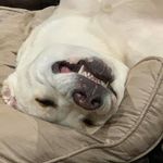Katrina Kopczyk-Bauer - @rubiruru_gsp - Instagram