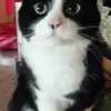 Katrina Bergman - @katrina.bergman2 - TikTok