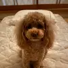 KatrinaBlanchard - @wthieptb930 - TikTok