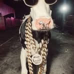 Katrina BLim - Facebook