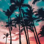 Katrinaboloci - @katrinaboloci - Instagram