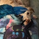 Katrina Booth - @nekoninja21 - Instagram