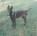 Katrina Boyer - Facebook