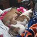 Trina Boykin - Facebook