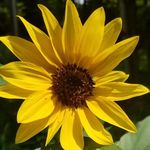 Katrina Burch - @burchkm - Instagram