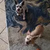 katrinachavez205 - @katrinachavez205 - TikTok
