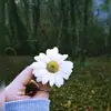 Katrina.Cooke - @katrinacookeikbneopl - TikTok
