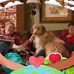 Katrina Dugger - Facebook