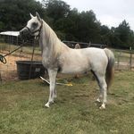 Katrina Franks - @texan_cowgirl - Instagram